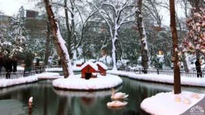 Kavaklıdere Fayans Ustası – Ankara’da Kaliteli Fayans ve Seramik Uygulaması